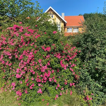 Roseneck Am Neulandhof Spoering * Walsrode