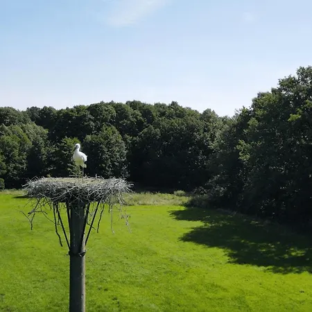 Lejlighed Roseneck Am Neulandhof Spoering