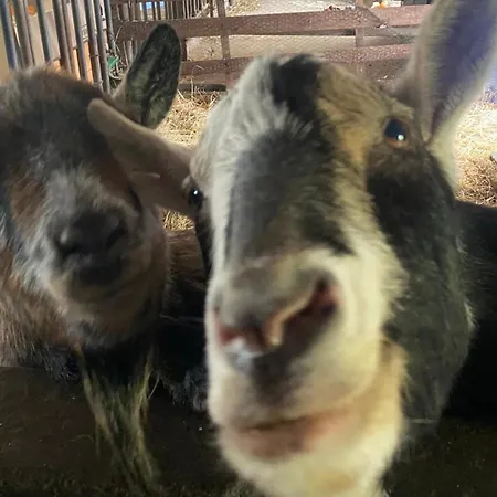 Roseneck Am Neulandhof Spoering * Walsrode