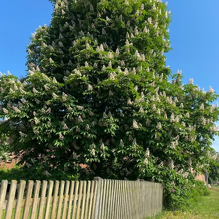 Roseneck Am Neulandhof Spoering Walsrode