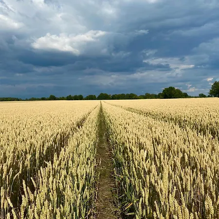 Lejlighed Roseneck Am Neulandhof Spoering *