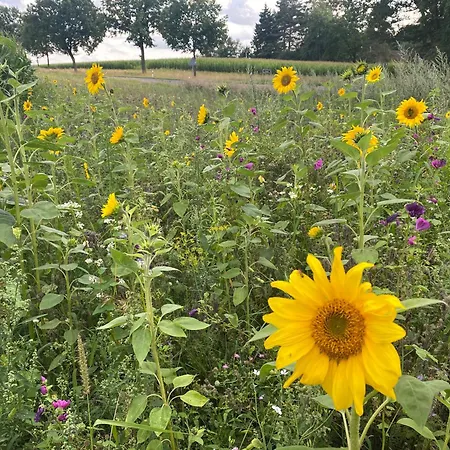 Roseneck Am Neulandhof Spoering Lejlighed