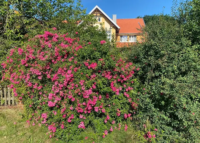 Roseneck Am Neulandhof Spoering * Walsrode