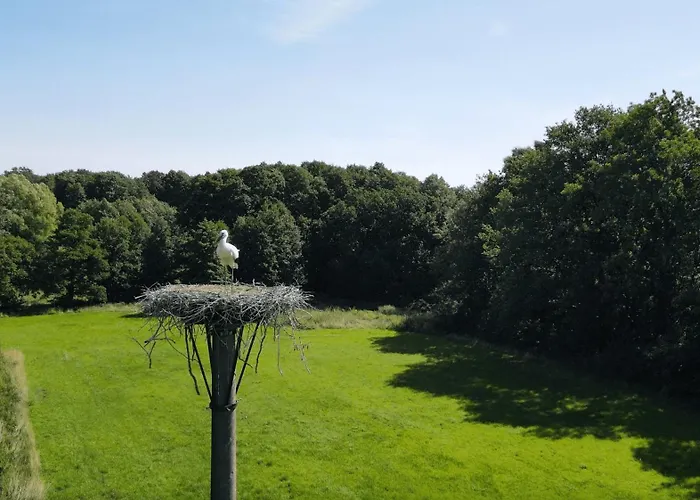 Appartement Roseneck Am Neulandhof Spoering