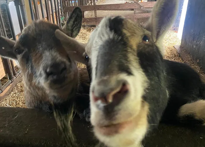 Roseneck Am Neulandhof Spoering * Walsrode