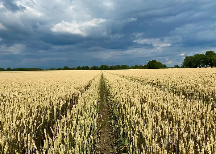 Appartement Roseneck Am Neulandhof Spoering *