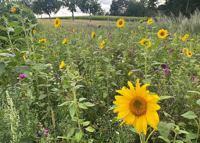 Roseneck Am Neulandhof Spoering Appartement